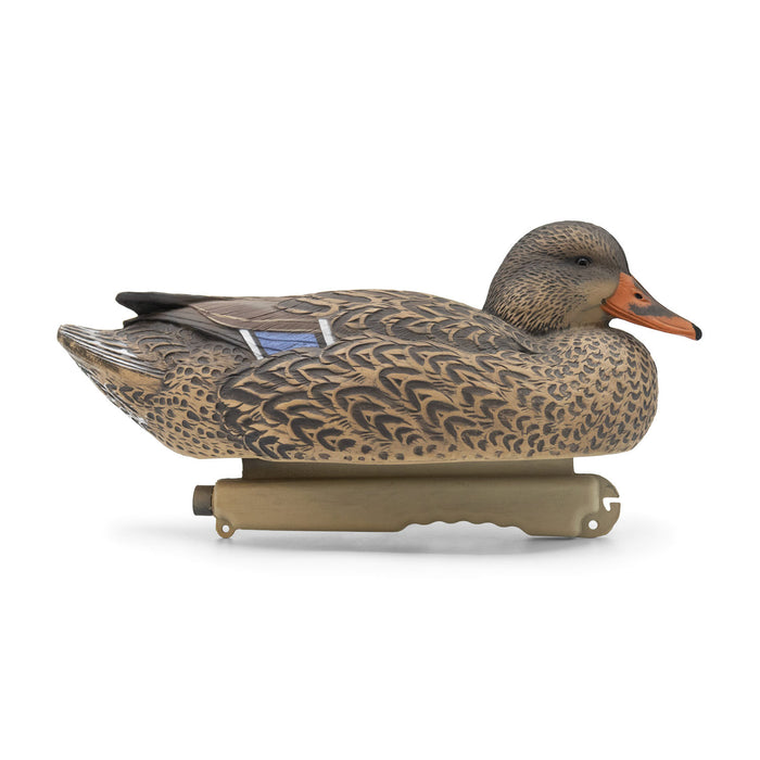 HD Mallard Floaters With Flocked Drake Heads, 12 Pack