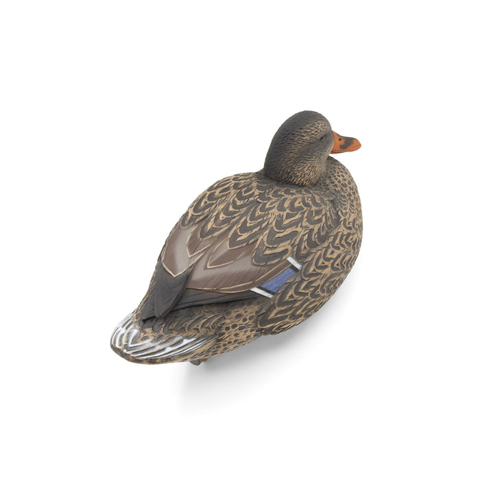 HD Mallard Floaters With Flocked Drake Heads, 12 Pack