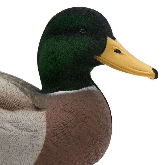 HD Mallard Floaters With Flocked Drake Heads, 12 Pack