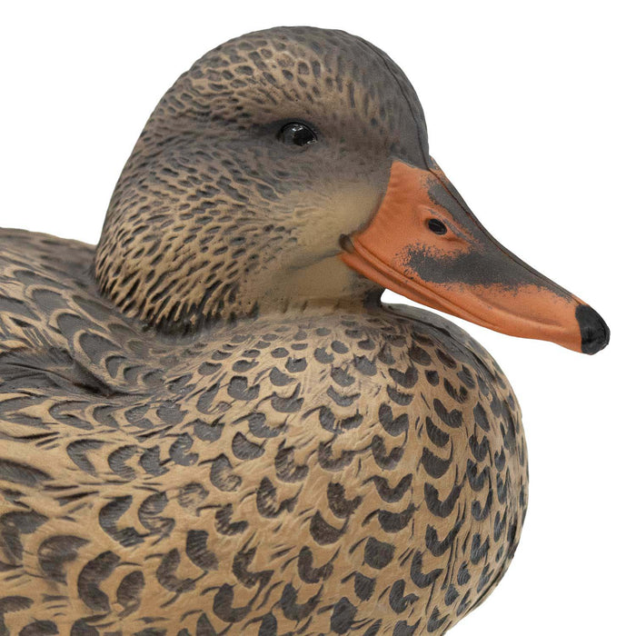 HD Mallard Floaters With Flocked Drake Heads, 12 Pack