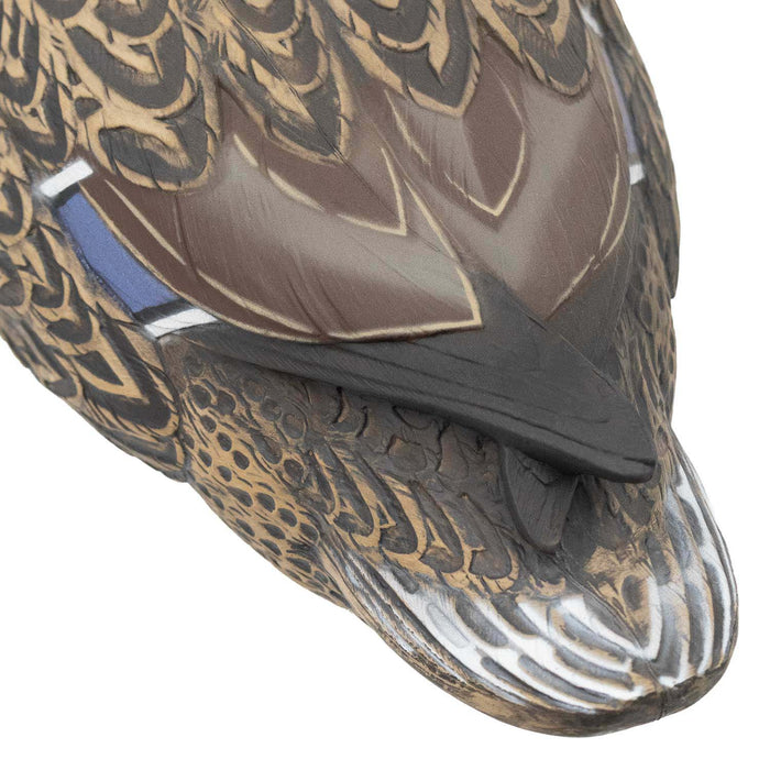 HD Mallard Floaters With Flocked Drake Heads, 12 Pack