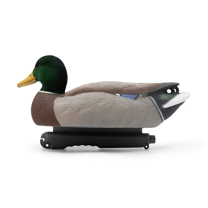 HD Mallard Floaters With Flocked Drake Heads, 12 Pack