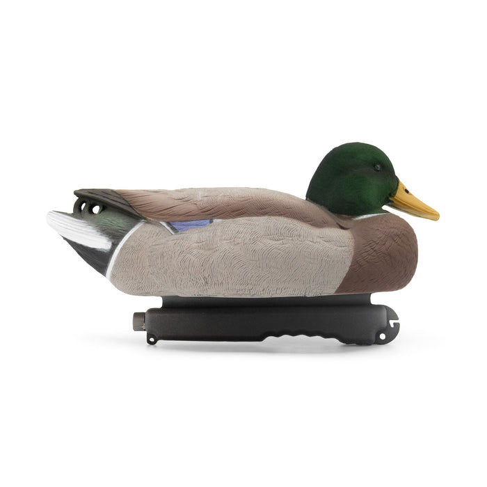 HD Mallard Floaters With Flocked Drake Heads, 12 Pack