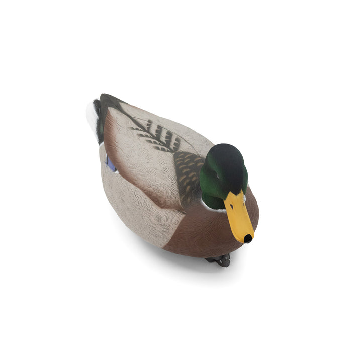 HD Mallard Floaters With Flocked Drake Heads, 12 Pack