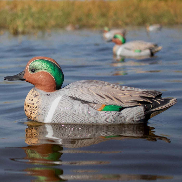 HD Greenwing Teal Floaters, 6 Pack