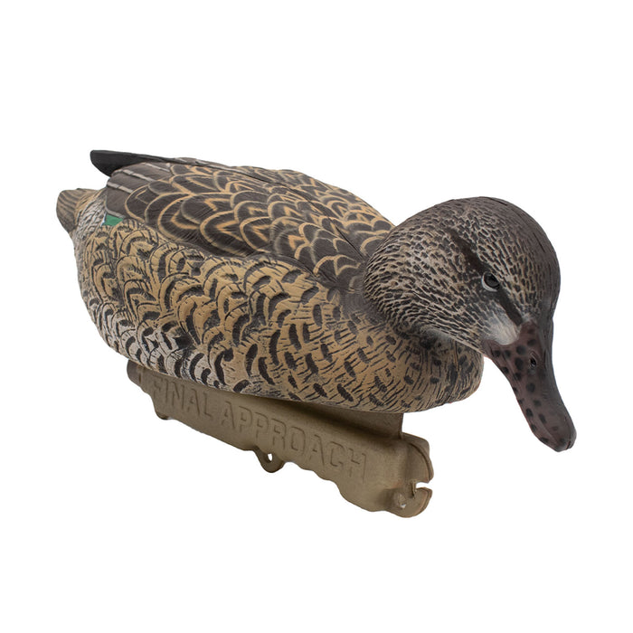 HD Greenwing Teal Floaters, 6 Pack