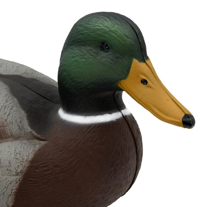 Last Pass Mallards, 6 Pack