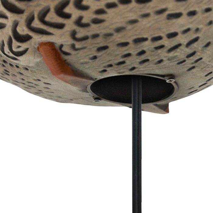 HD Full-Body Fully Flocked Mallard Duck Decoys, 12 Pack