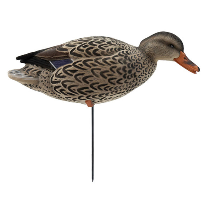 HD Full-Body Fully Flocked Mallard Duck Decoys, 12 Pack