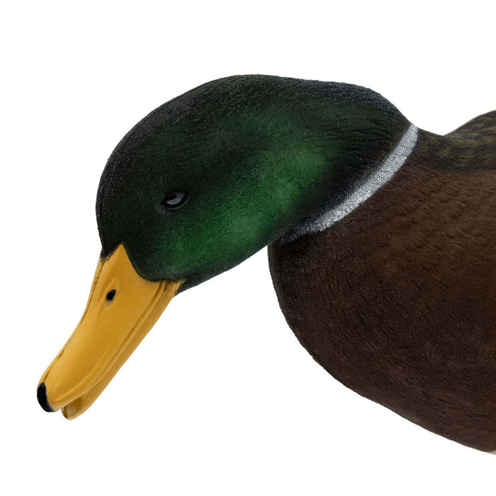 HD Full-Body Fully Flocked Mallard Duck Decoys, 12 Pack