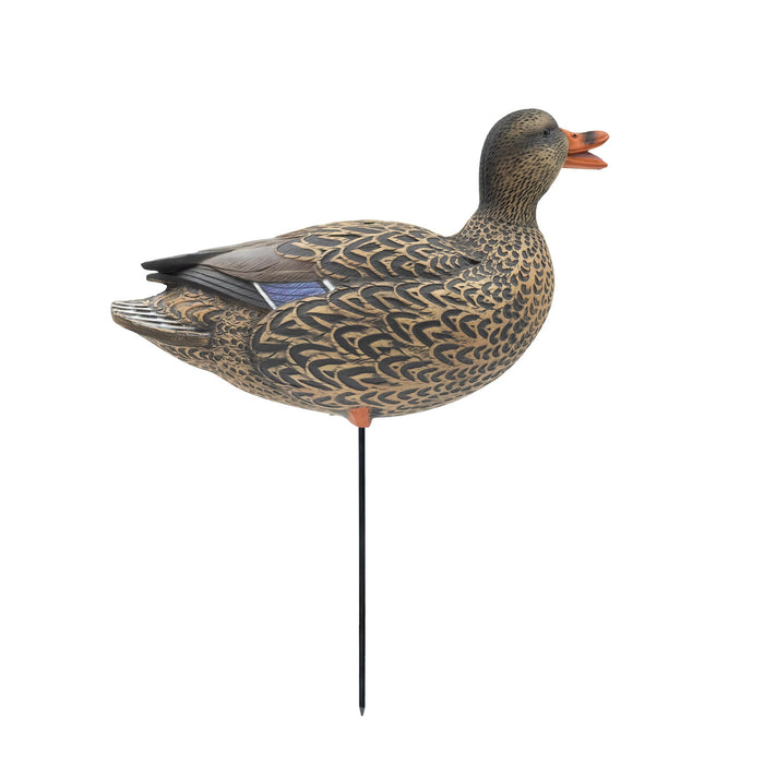 HD Full Body Mallards with Flocked Head Drakes, 12 Pack