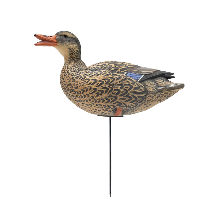 HD Full Body Mallards with Flocked Head Drakes, 12 Pack