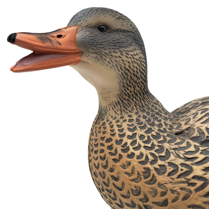 HD Full Body Mallards with Flocked Head Drakes, 12 Pack