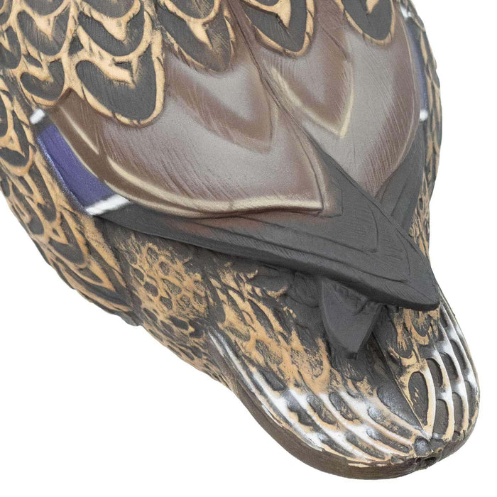 HD Full Body Mallards with Flocked Head Drakes, 12 Pack