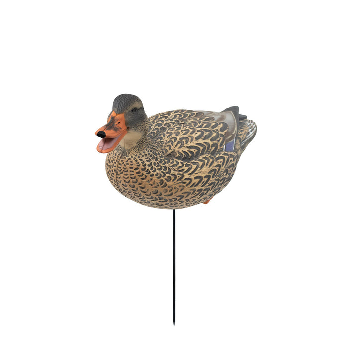 HD Full Body Mallards with Flocked Head Drakes, 12 Pack