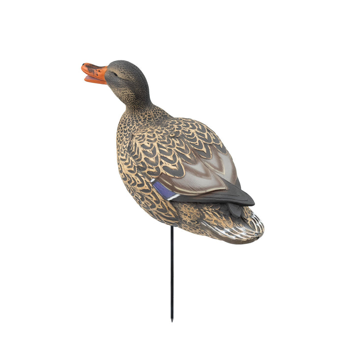 HD Full Body Mallards with Flocked Head Drakes, 12 Pack