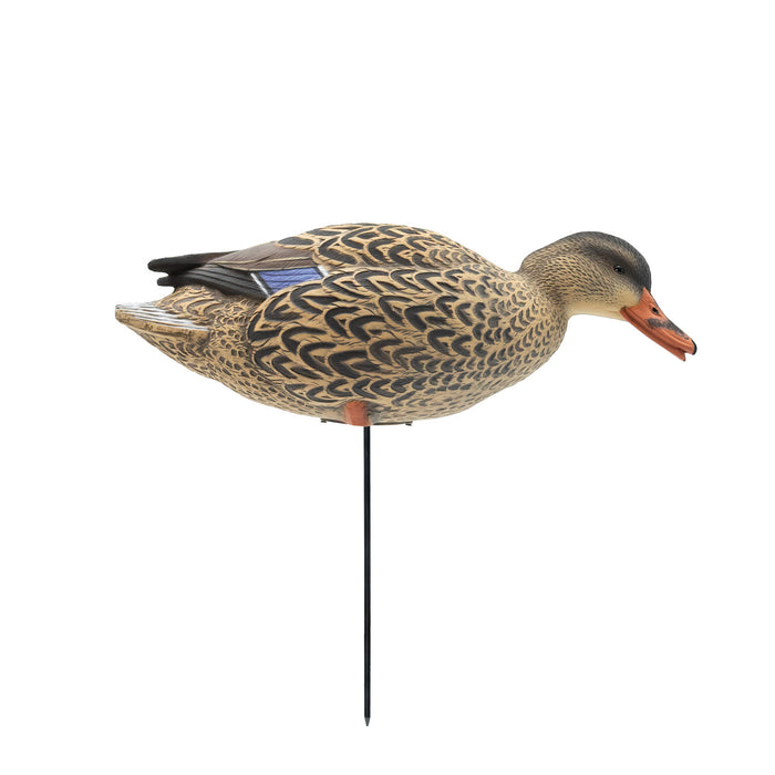 HD Full Body Mallards with Flocked Head Drakes, 12 Pack
