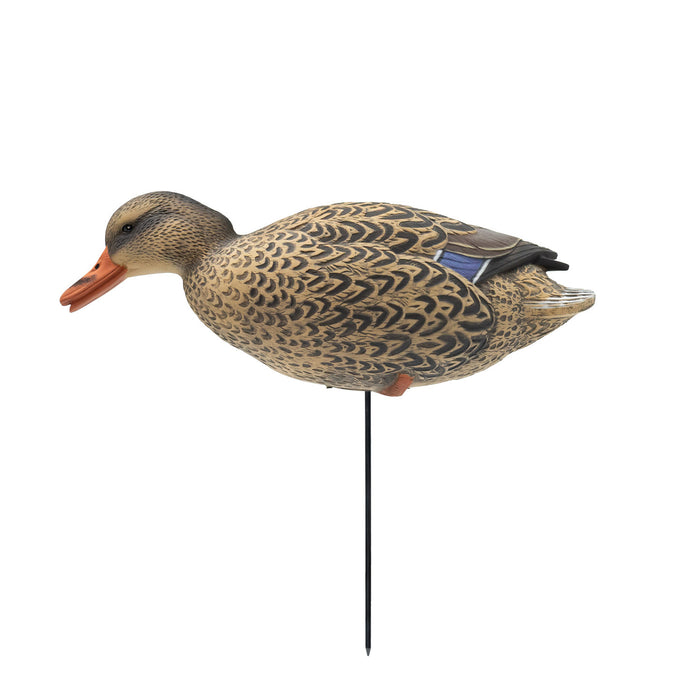 HD Full Body Mallards with Flocked Head Drakes, 12 Pack