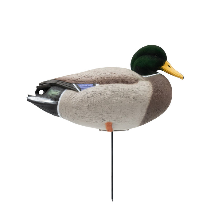 HD Full Body Mallards with Flocked Head Drakes, 12 Pack