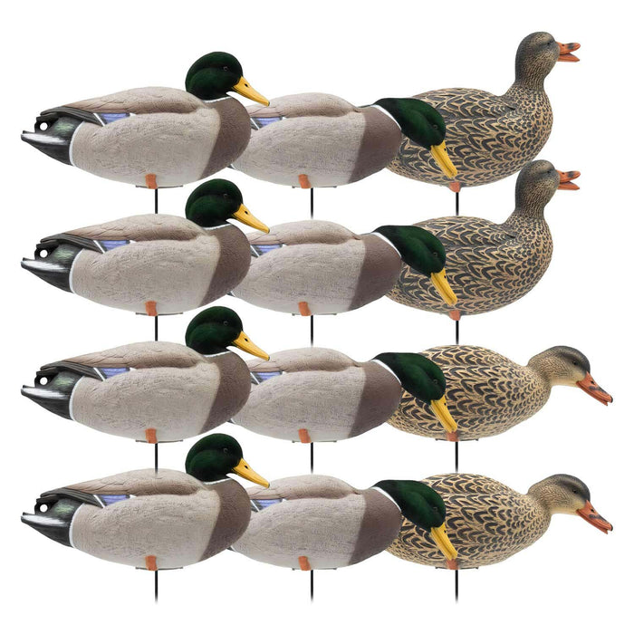 HD Full Body Mallards with Flocked Head Drakes, 12 Pack