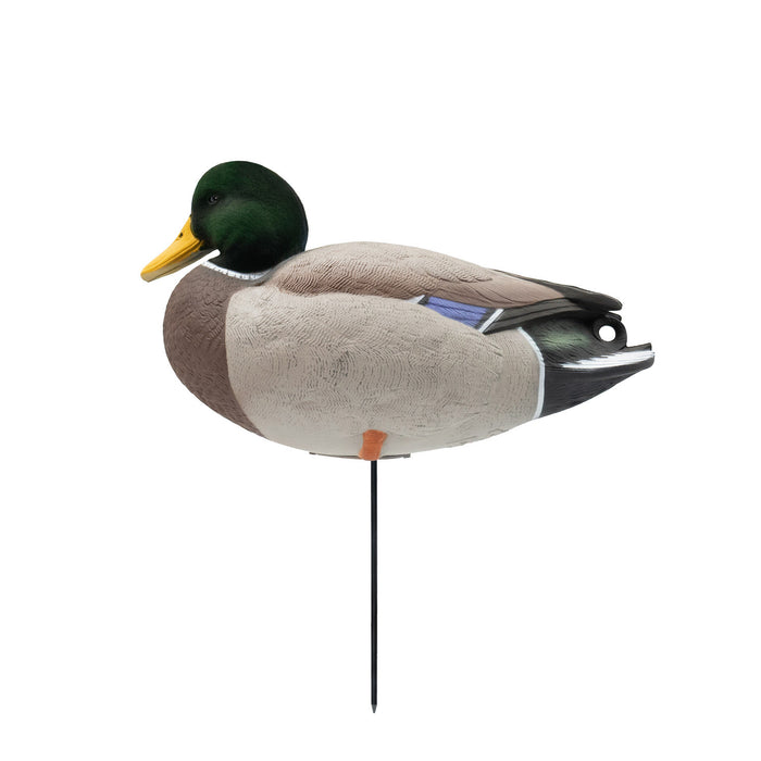 HD Full Body Mallards with Flocked Head Drakes, 12 Pack