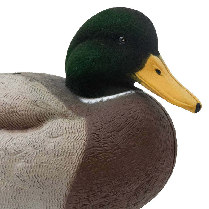 HD Full Body Mallards with Flocked Head Drakes, 12 Pack