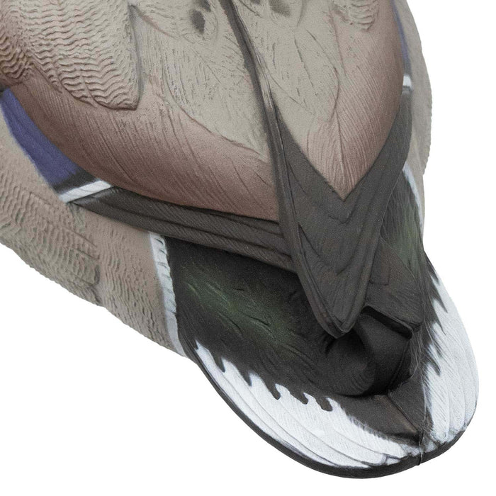 HD Full Body Mallards with Flocked Head Drakes, 12 Pack