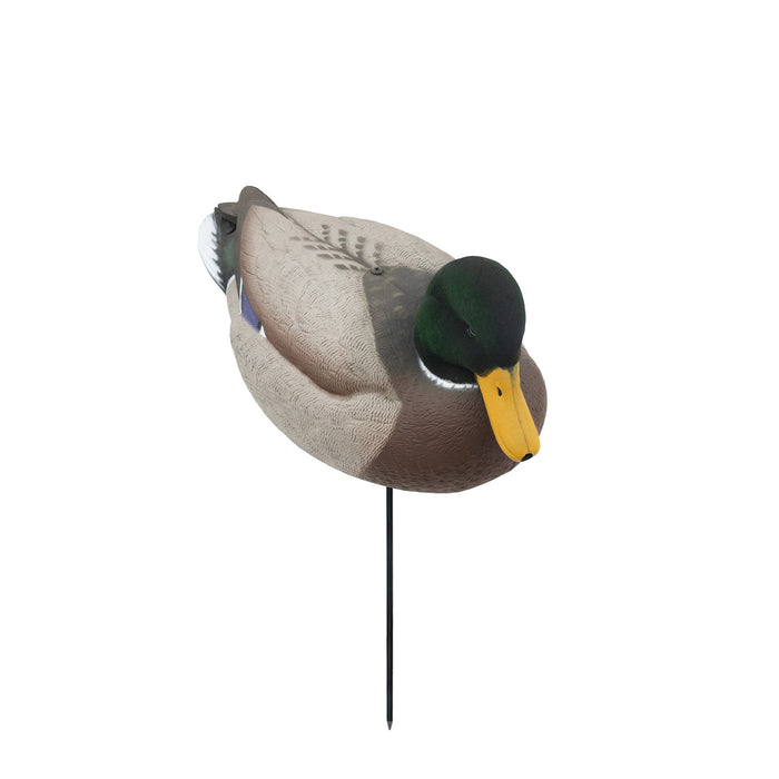 HD Full Body Mallards with Flocked Head Drakes, 12 Pack