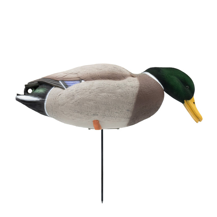 HD Full Body Mallards with Flocked Head Drakes, 12 Pack
