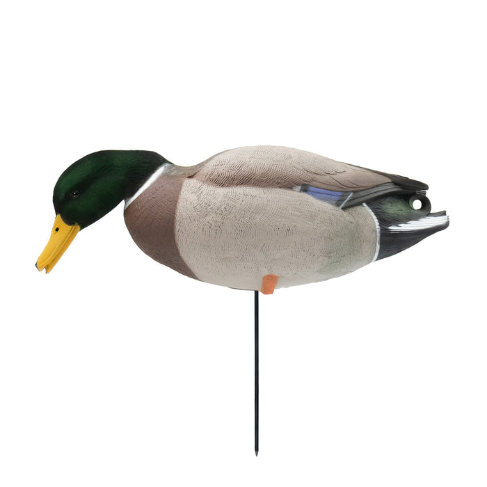 HD Full Body Mallards with Flocked Head Drakes, 12 Pack