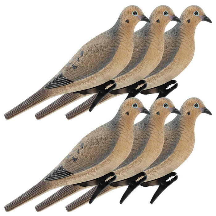 Live Mourning Dove Decoys, 6 Pack