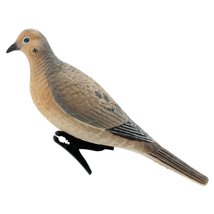 Live Mourning Dove Decoys, 6 Pack
