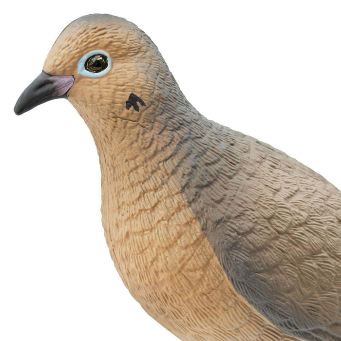 Live Mourning Dove Decoys, 6 Pack