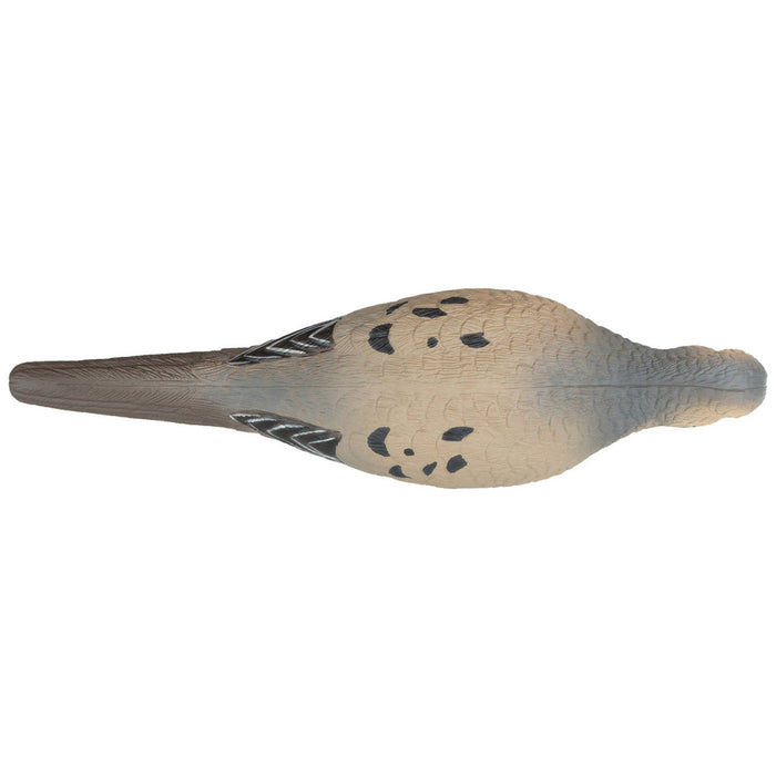 Live Mourning Dove Decoys, 6 Pack