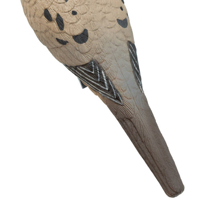 Live Mourning Dove Decoys, 6 Pack