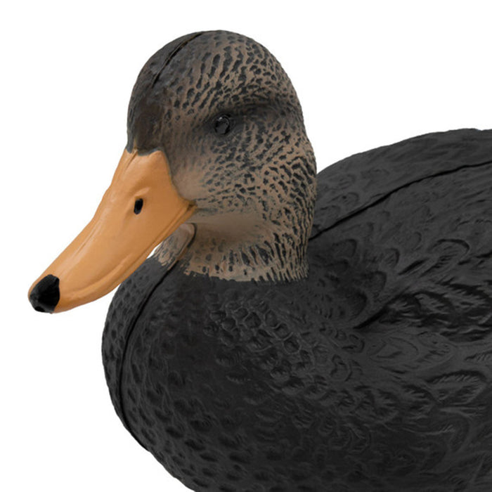 Last Pass Black Duck Decoys, 12 Pack