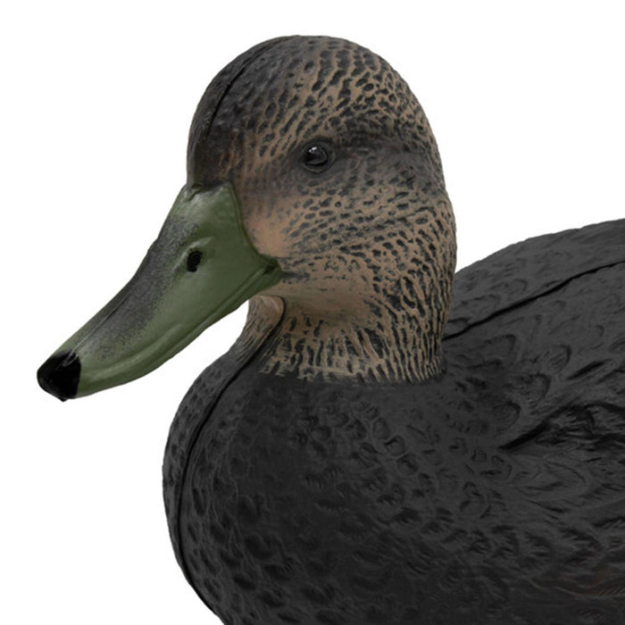 Last Pass Black Duck Decoys, 12 Pack