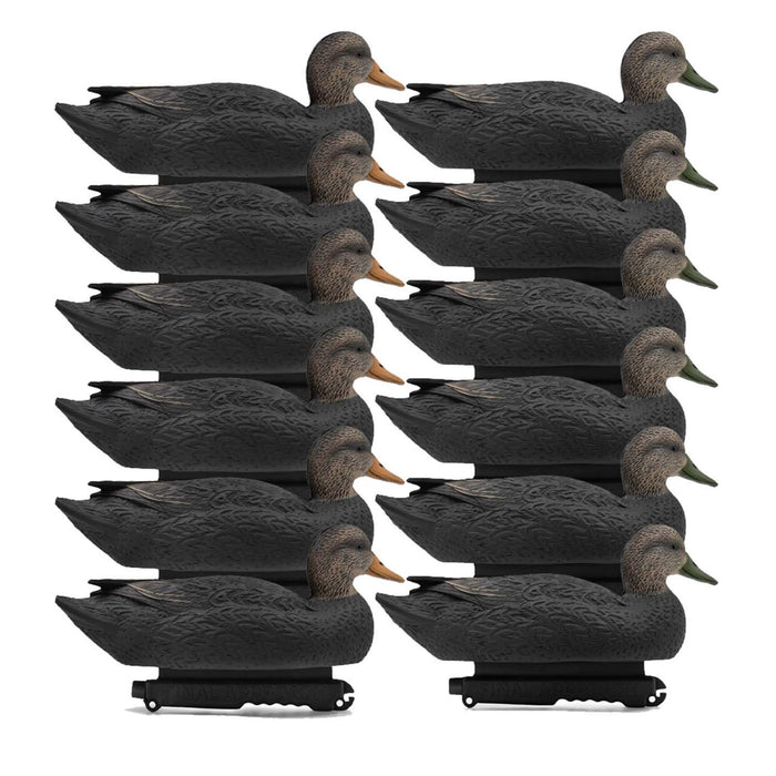 Last Pass Black Duck Decoys, 12 Pack