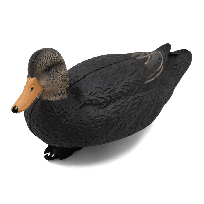Last Pass Black Duck Decoys, 12 Pack