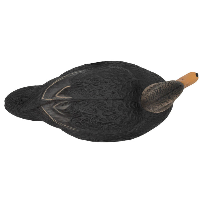 Last Pass Black Duck Decoys, 12 Pack