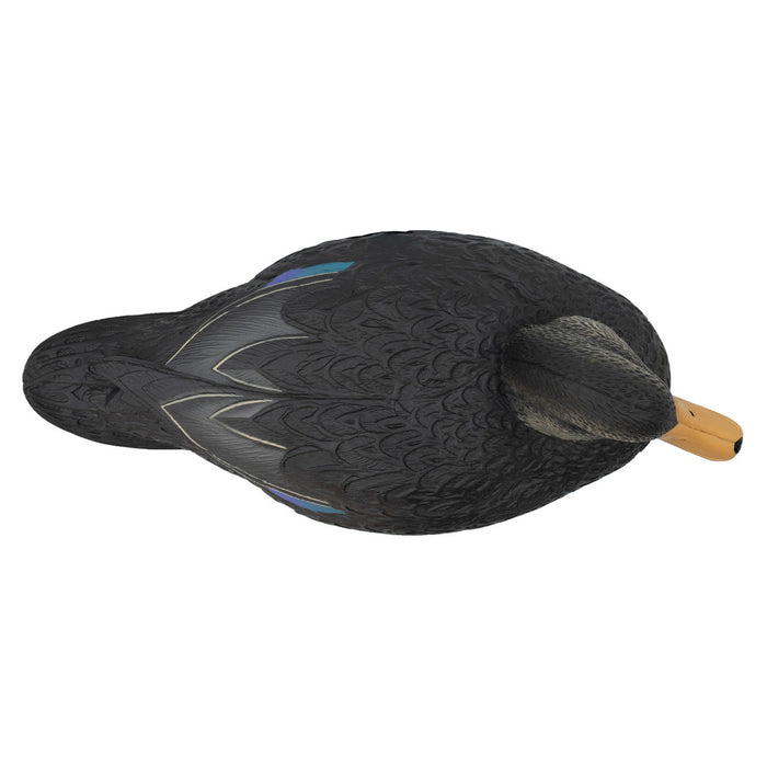 Oversized Live Black Duck Decoys, 6 Pack