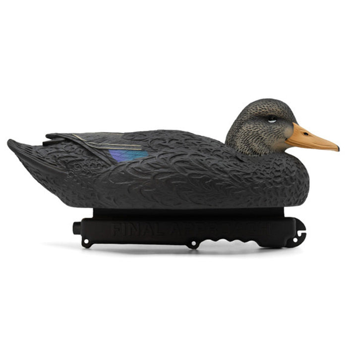 Oversized Live Black Duck Decoys, 6 Pack