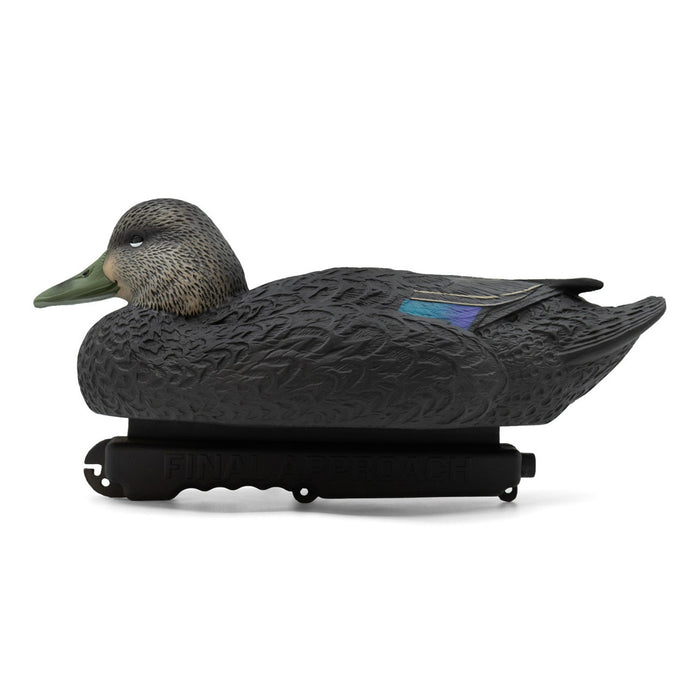 Oversized Live Black Duck Decoys, 6 Pack