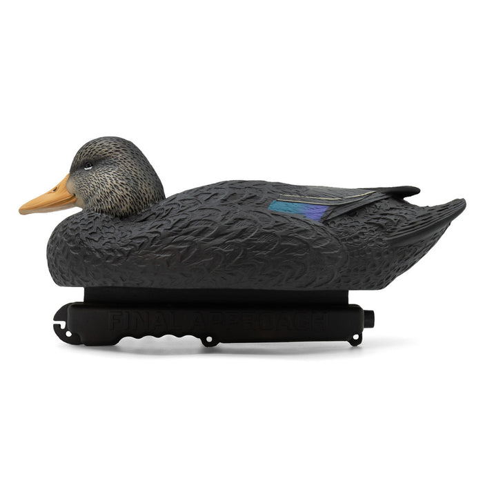 Oversized Live Black Duck Decoys, 6 Pack