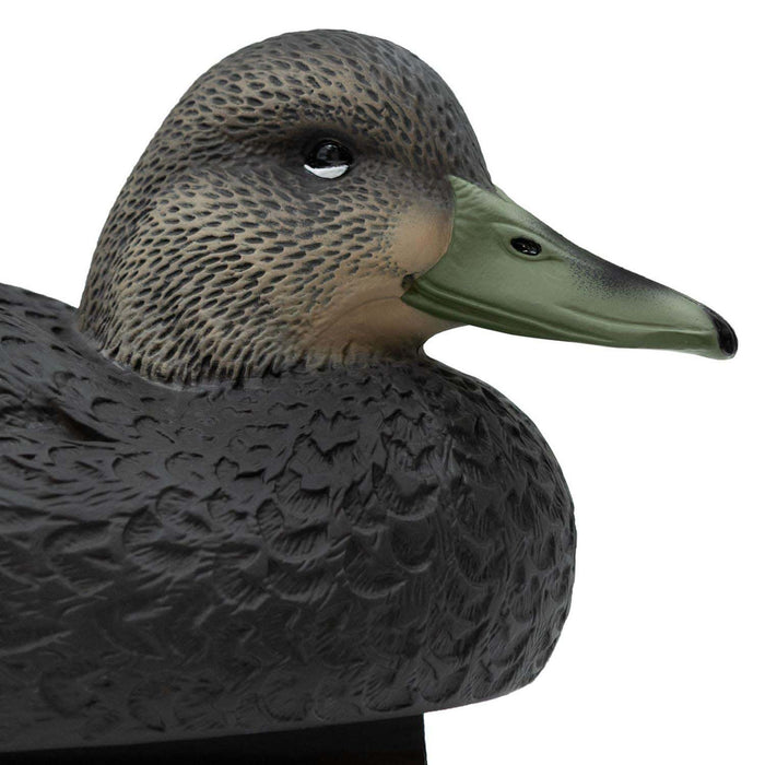 Oversized Live Black Duck Decoys, 6 Pack