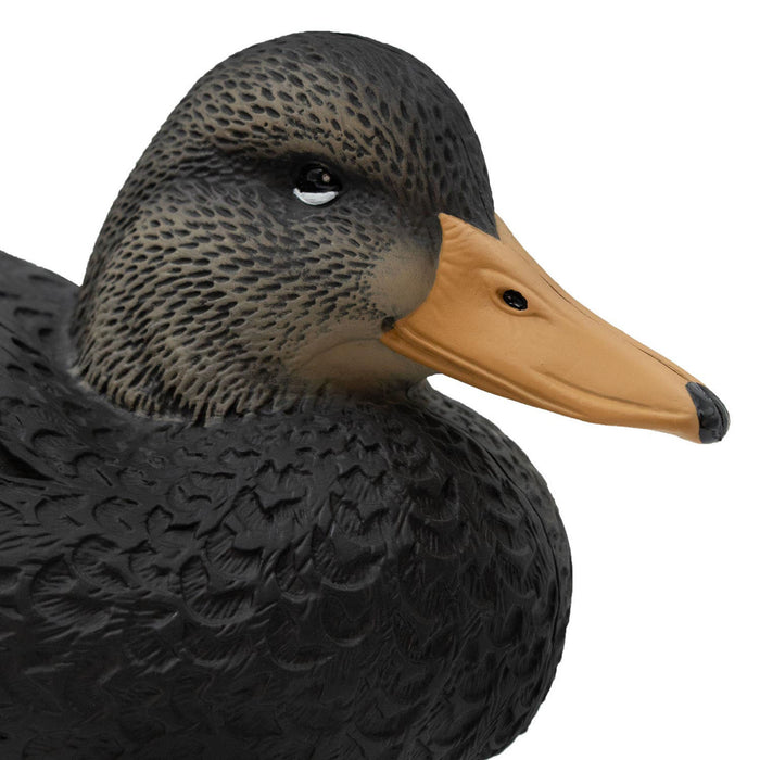 Oversized Live Black Duck Decoys, 6 Pack