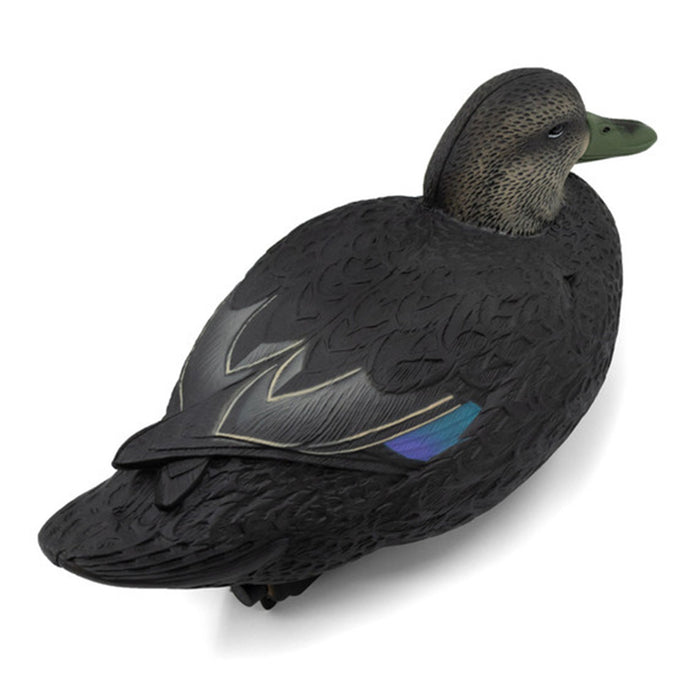 Oversized Live Black Duck Decoys, 6 Pack