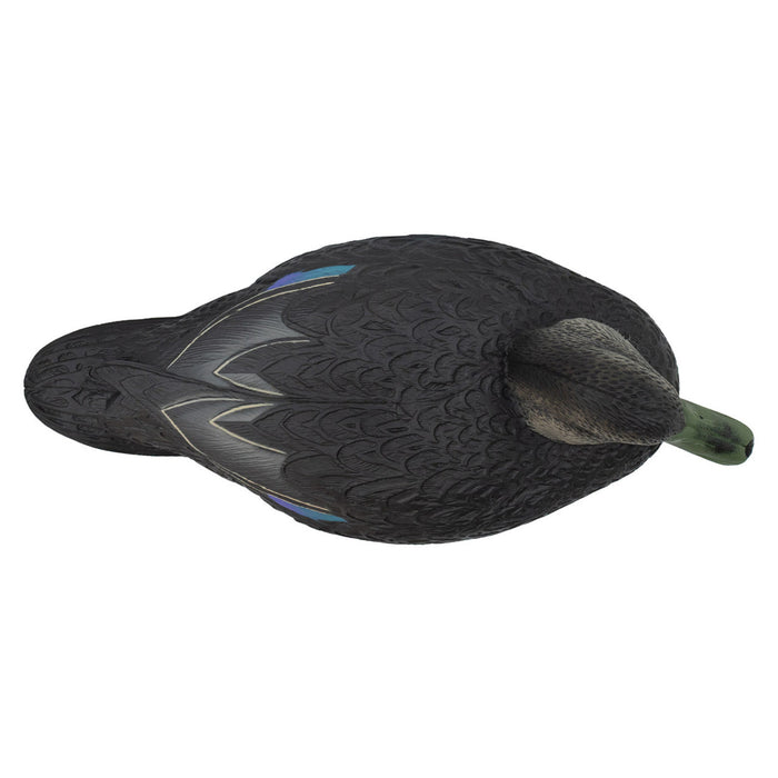 Oversized Live Black Duck Decoys, 6 Pack
