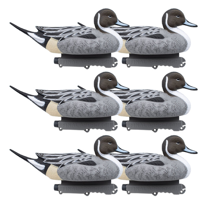 Last Pass Floating Pintail, 6 Pack