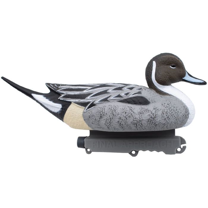 Last Pass Floating Pintail, 6 Pack